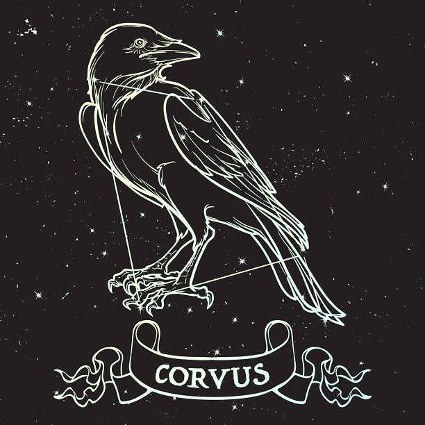 Crow in ancient schools:

The crow has long been known as an informer and messenger of the sky. For this reason, in ancient times, the crow constellation was considered to be the messenger of the gods.